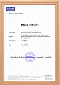 MSDS for EcoRunBattery battery products