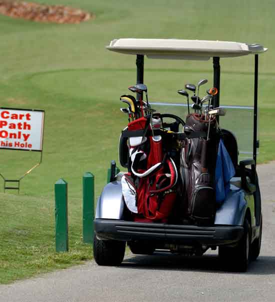 Electric Golf Cart Lithium Ion Battery custom